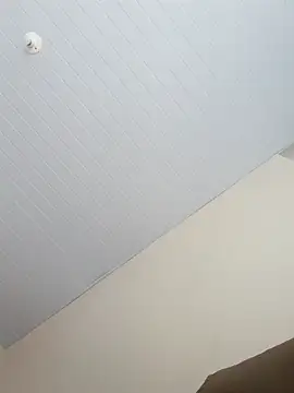 Morenodotado0 online show from February 24, 2026, 3:32 pm