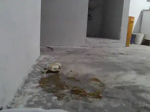 jupiter 333 online show from January 8, 2026, 7:21 am