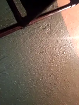 Elvergon22546 online show from November 17, 2025, 5:08 pm