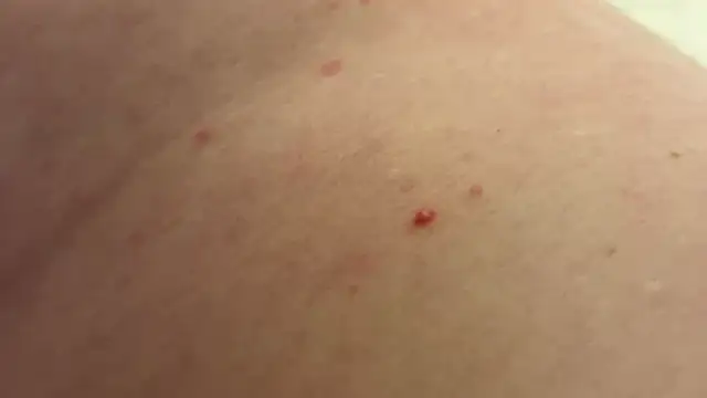 andrenoma427 online show from January 13, 2026, 3:23 am