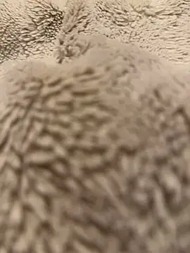 Jackoff2345 online show from February 18, 2026, 5:25 am