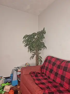 SweetieP11 online show from November 3, 2025, 5:03 pm