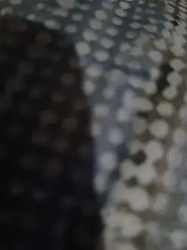 Snapshot of Piope1984 chatting on October 28, 2025, 9:17 pm Piope1984 online show from October 28, 2025, 9:17 pm