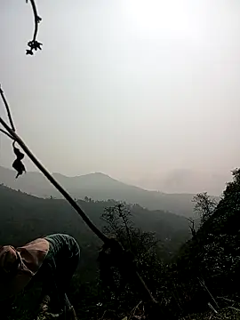 Phoena-a online show from April 3, 2026, 2:20 am