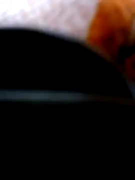 Pinos8700 online show from November 1, 2025, 3:58 pm