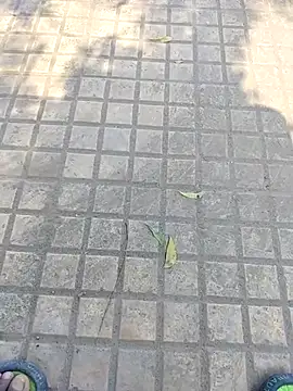 WettedGlimpse online show from December 3, 2025, 6:54 am