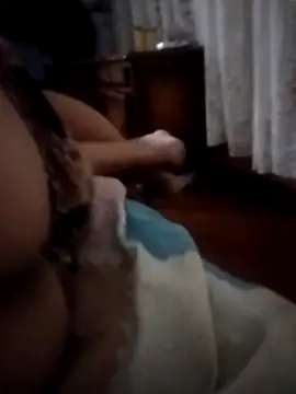 pampa4456 online show from December 16, 2025, 5:23 am