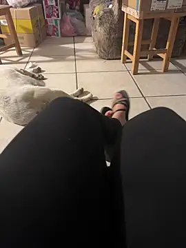 Evil kitty6 online show from December 15, 2025, 12:26 am