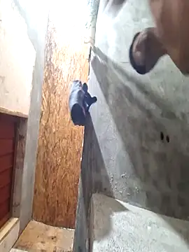 Snapshot of sanz957 chatting on November 14, 2025, 3:49 am sanz957 online show from November 14, 2025, 3:49 am