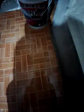 sanz957 online show from November 29, 2025, 3:59 pm