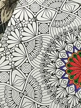 bigtelugubhama online show from November 15, 2025, 4:25 pm