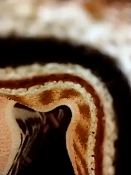 Snapshot of Nightrider1203 chatting on November 8, 2025, 5:12 pm Nightrider1203 online show from November 8, 2025, 5:12 pm