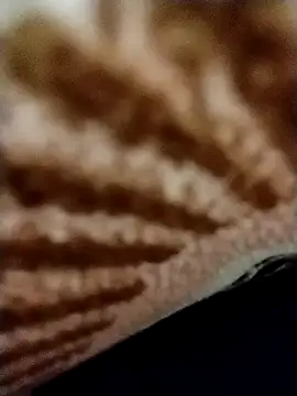 Snapshot of Nightrider1203 chatting on November 11, 2025, 6:41 pm Nightrider1203 online show from November 11, 2025, 6:41 pm