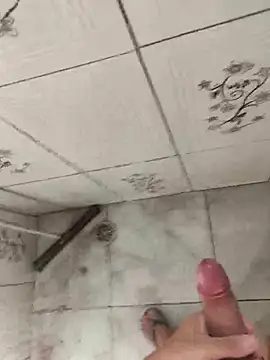 secretnovin7 online show from April 4, 2026, 5:43 pm