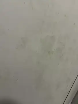 Snapshot of Isamperry69 chatting on October 31, 2025, 4:02 am Isamperry69 online show from October 31, 2025, 4:02 am