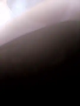 pino870 online show from January 14, 2026, 9:52 pm