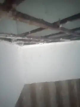 Pallu Asha online show from March 19, 2026, 12:58 am