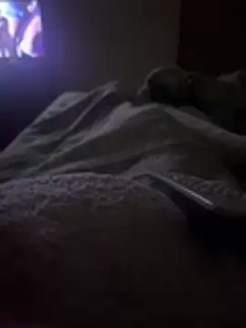 Snapshot of gatitaamelosaa7 chatting on February 24, 2026, 2:53 am gatitaamelosaa7 online show from February 24, 2026, 2:53 am