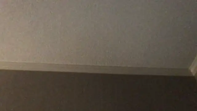 RyanSteeleXXX online show from December 2, 2025, 6:41 am