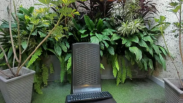 Staarhot online show from February 1, 2026, 12:26 pm