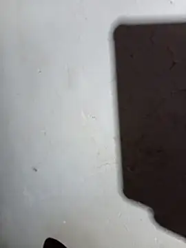 DK 9396 online show from April 23, 2026, 6:21 pm