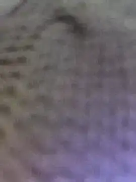 Hot-Sana2 online show from February 23, 2026, 2:25 pm