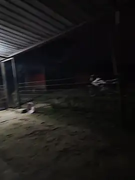 Snapshot of taylor1991V chatting on December 1, 2025, 11:43 pm taylor1991V online show from December 1, 2025, 11:43 pm