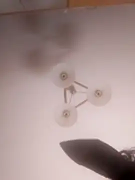 Snapshot of Brigitta886 chatting on March 31, 2026, 2:57 am Brigitta886 online show from March 31, 2026, 2:57 am