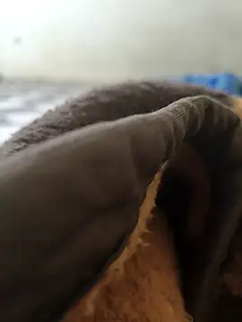 Realverse online show from November 5, 2025, 4:40 pm