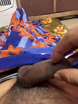 porn ritik online show from November 29, 2025, 6:33 pm