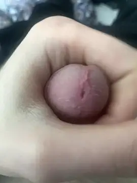 Gaypride online show from April 29, 2026, 3:38 pm