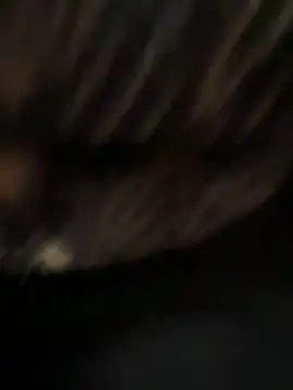 caramello-48888 online show from April 7, 2026, 5:24 pm