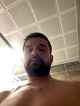 NiktirGit31 online show from December 15, 2025, 11:31 pm