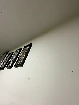 gatito polo69 online show from January 6, 2026, 2:04 am