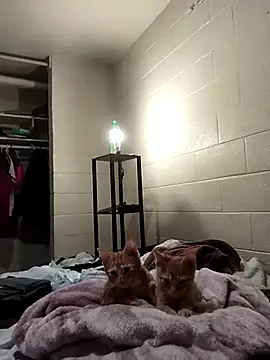 SITHANDRAH online show from December 2, 2025, 11:45 pm