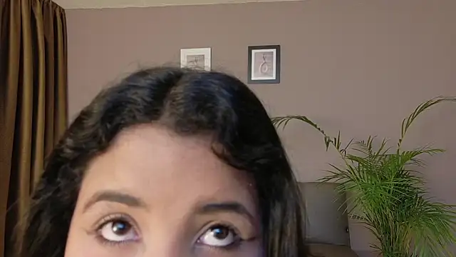 Amazonas x online show from November 14, 2025, 11:42 am