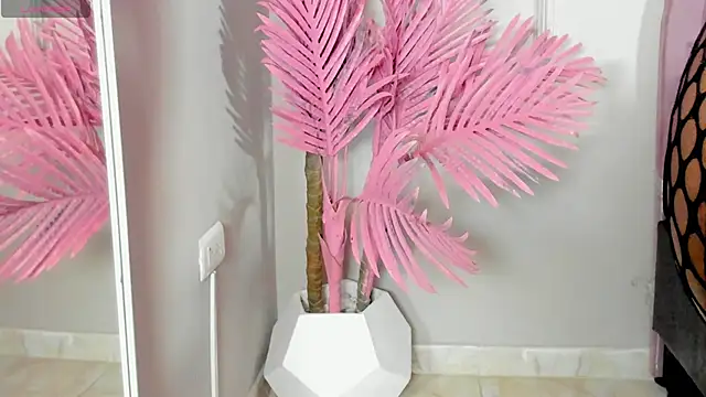 Tamaramilleer online show from February 2, 2026, 3:49 am