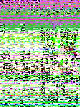 leenaboyxh online show from November 27, 2025, 4:31 pm