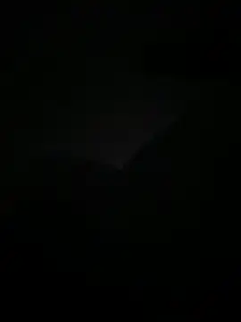 lanouvelle93 online show from May 19, 2026, 1:33 am