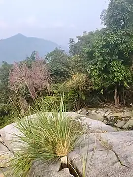 Lynly k2 online show from December 21, 2025, 5:25 am