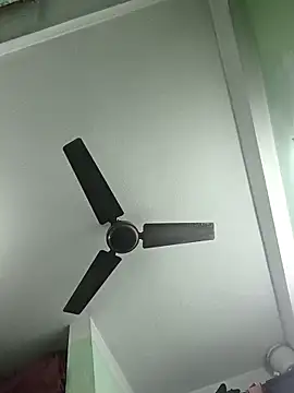 butterflydoll55sexolina online show from November 20, 2025, 9:31 am