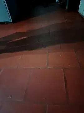 MonasticCanine online show from February 23, 2026, 2:09 am