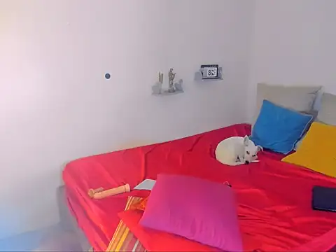 hotcassy online show from February 25, 2026, 9:57 pm