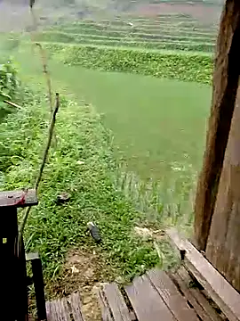 Cloud-wh online show from April 8, 2026, 12:10 am