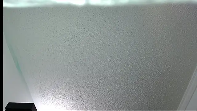 Little-rouse online show from November 30, 2025, 2:32 pm