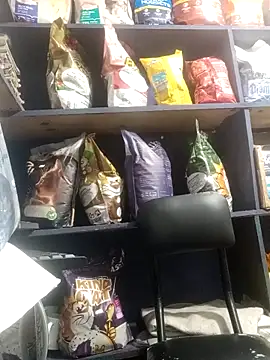 eva rushh online show from March 9, 2026, 10:58 pm