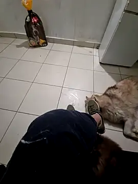 RITAEGIH online show from March 2, 2026, 8:04 pm