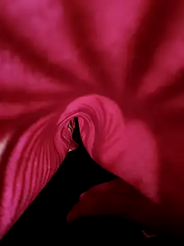 Snapshot of DesiAnita3693 chatting on November 21, 2025, 3:38 am DesiAnita3693 online show from November 21, 2025, 3:38 am