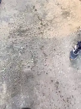 Snapshot of Playboy_pune_ chatting on November 19, 2025, 10:04 am Playboy pune online show from November 19, 2025, 10:04 am