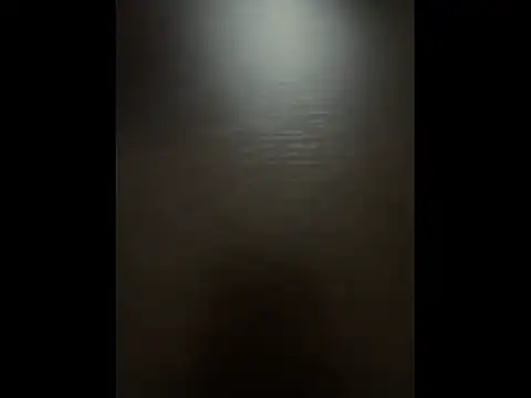 Snapshot of Pineapple chatting on November 19, 2025, 4:40 pm Pineapple online show from November 19, 2025, 4:40 pm